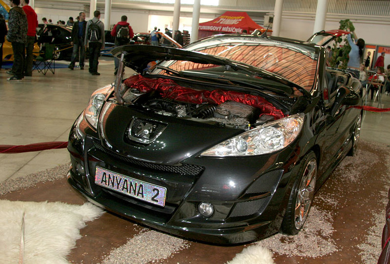 Tuning Salon Brno 2008:  fotogaleria