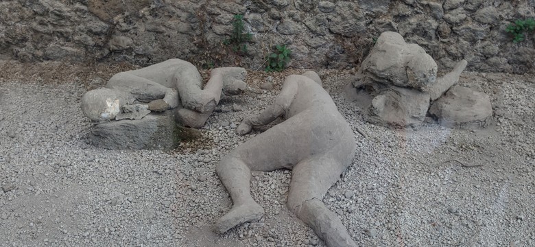 Sekret długowieczności ze starożytności odkryty w Pompejach