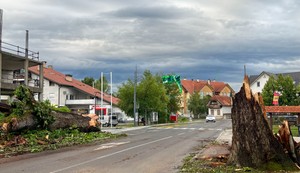 Nevreme Slovenija