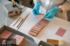 Kilkaset powstańczych legitymacji trafiło do Muzeum Powstania Warszawskiego [ZDJĘCIA]