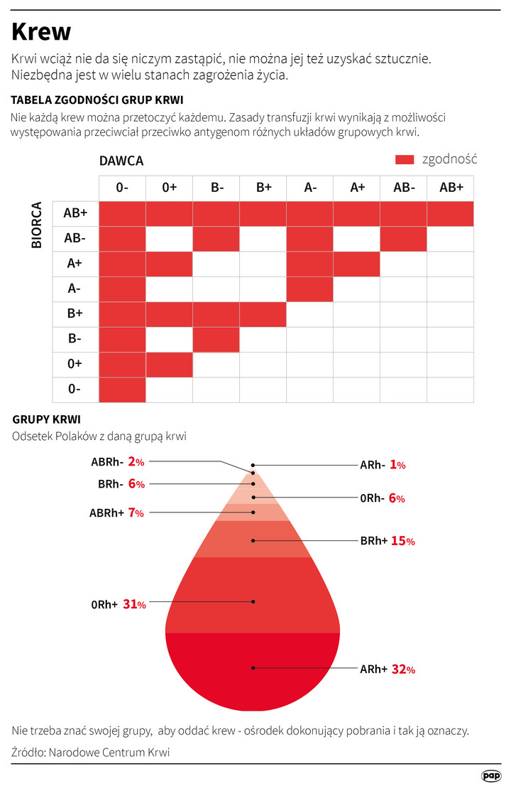 Krew - Infografika