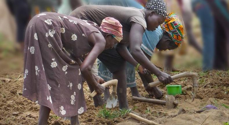 Adesina also emphasised the importance of financing women and de-risking the financial system to make advancing to loan to women comfortable.