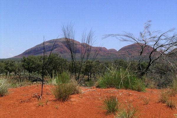 Galeria Australia - Uluru i Kata Tjuta, obrazek 17