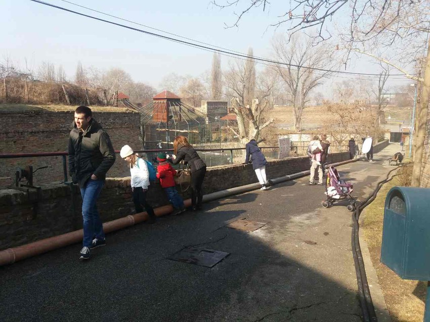 Posetioci sa nestrpljenjem iščekivali odluku