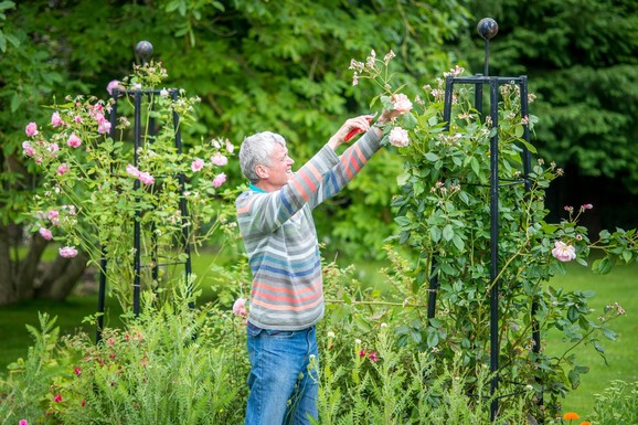 Moguće su kazne do 50.000 evra: Ove baštenske aktivnosti su zabranjene u Nemačkoj tokom uskršnjeg vikenda