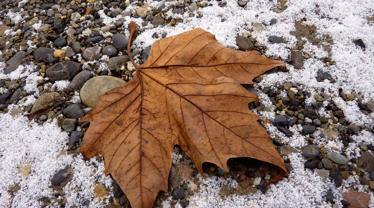 Helyenként talajmenti fagyokra kell számítani /Fotó: Northfoto