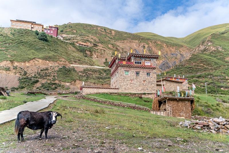 Tybet - typowa wioska