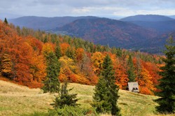 UJ: XIX-wieczne wojskowe mapy okazały się bezcennym źródłem informacji o cennych przyrodniczo obszarach Karpat