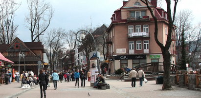 Burda w restauracji na Krupówkach