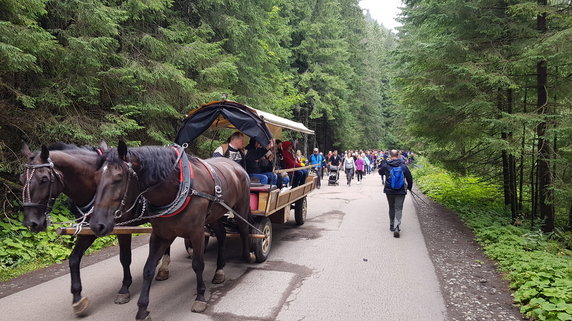 Szturm turystów na Morskie Oko