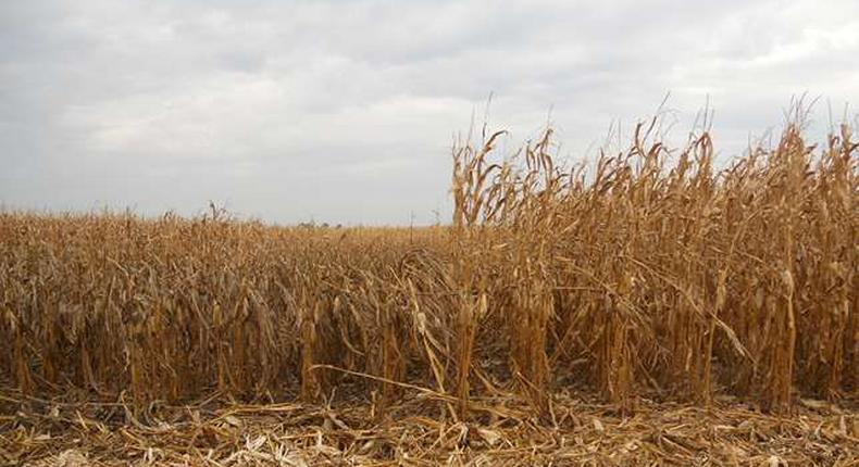 Dry Season in Ghana