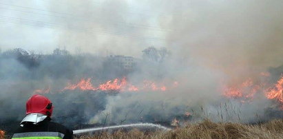 Księża grzmią z ambony: nie palcie traw!