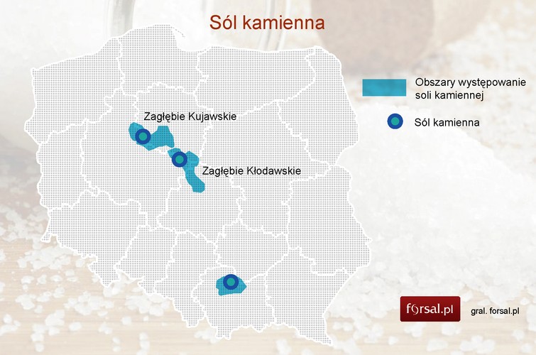 Sól kamienna. Sól kamienną wydobywano w Polsce już od czasów średniowiecza, a surowiec ten przyczynił się w dużym stopniu do wzrostu bogactwa polskich miast (np. średniowiecznego Krakowa). Udokumentowane zasoby soli kamiennej w Polsce w 2012 roku wyniosły prawie 84,95 mld ton, zaś wydobycie osiągnęło poziom 3,92 mln ton. Nad Wisłą można wyróżnić dwa główne regiony występowania tego surowca: zapadlisko przedkarpackie (Wieliczka, Bochnia, Żory, Rybnik) oraz wał Kujawsko-Pomorski (Inowrocław i Kłodawa). Kopalnie soli w Wieliczce i Bochni funkcjonują dziś jako muzea. Kopalnia soli w Wieliczce, wpisana na Listę Światowego Dziedzictwa Kulturalnego i Przyrodniczego UNESCO, jest odwiedzana rocznie przez ponad milion turystów z całego świata.