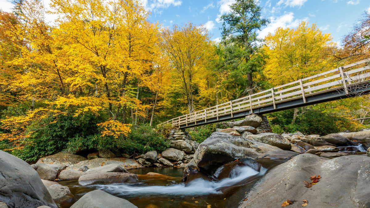 Park Narodowy Great Smoky Mountains – historia, informacje, ciekawostki