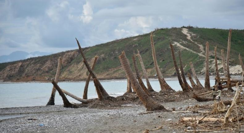 The damaged beach of the village of Labeyi in the commune of Chardonnieres, southwest Haiti, on October 18, 2016