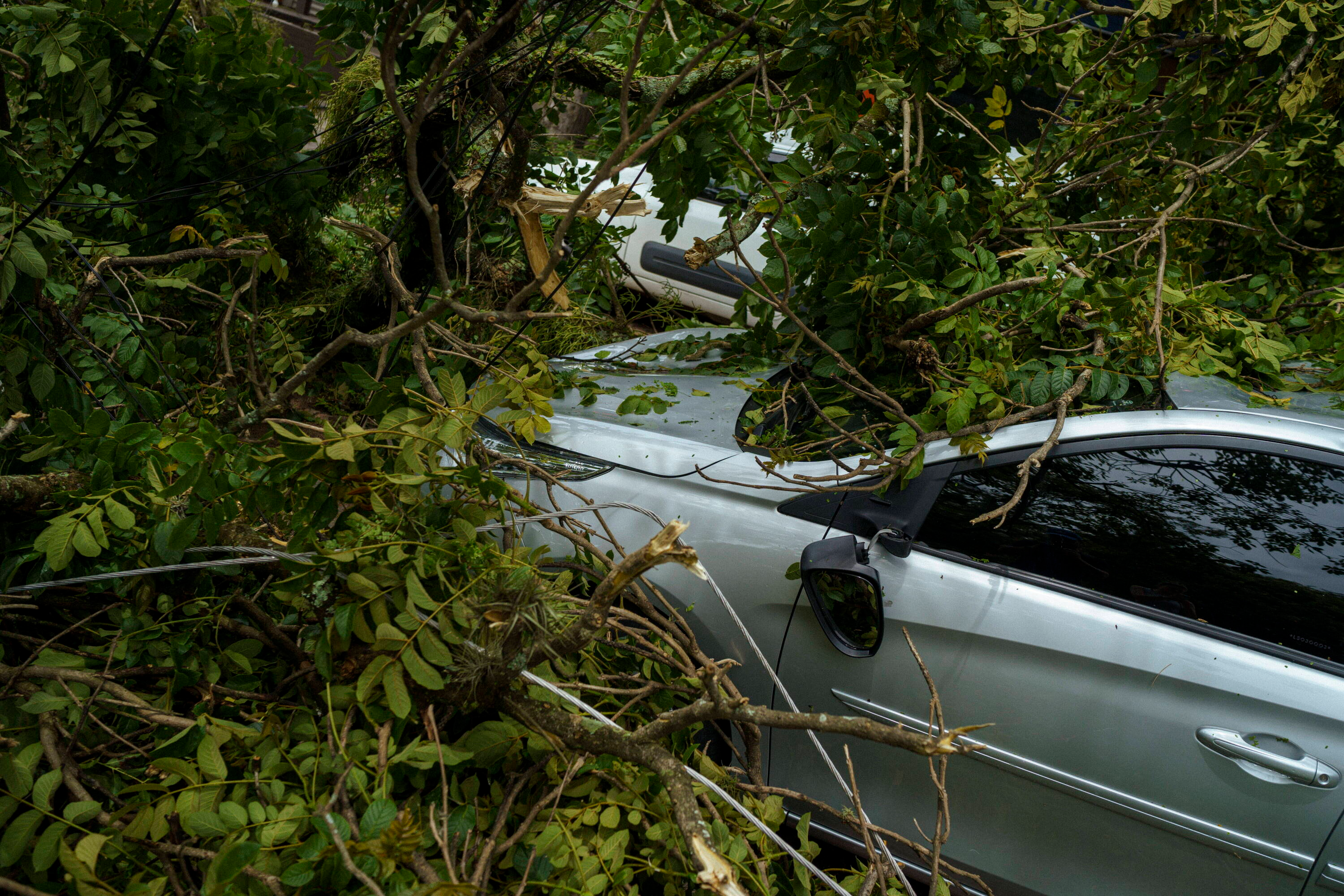 Cyklon sparaliżował São Paulo: 48 godzin bez prądu, chaos na lotniskach