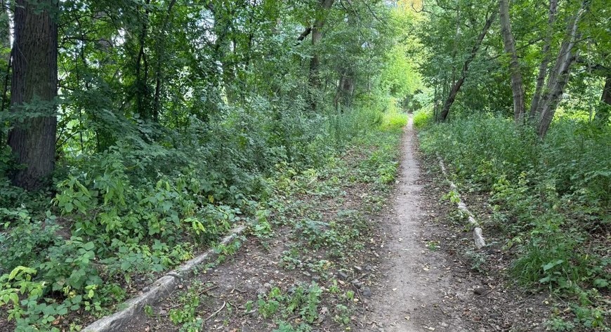 Trasa pieszo-rowerowa ma przebiegać wśród zieleni