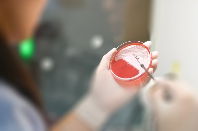 Miért ellenállóak a baktériumok a még forgalomba sem került antibiotikumokkal szemben?