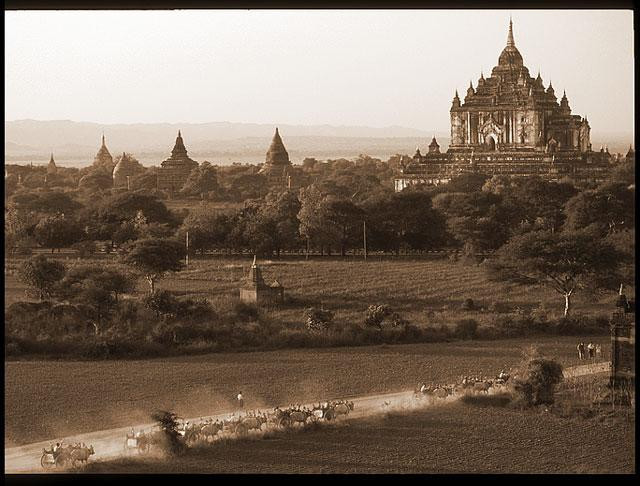 Galeria Birma, obrazek 14