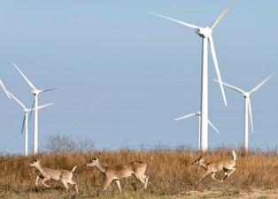 Bruksela inwestuje w ekologiczne elektrownie