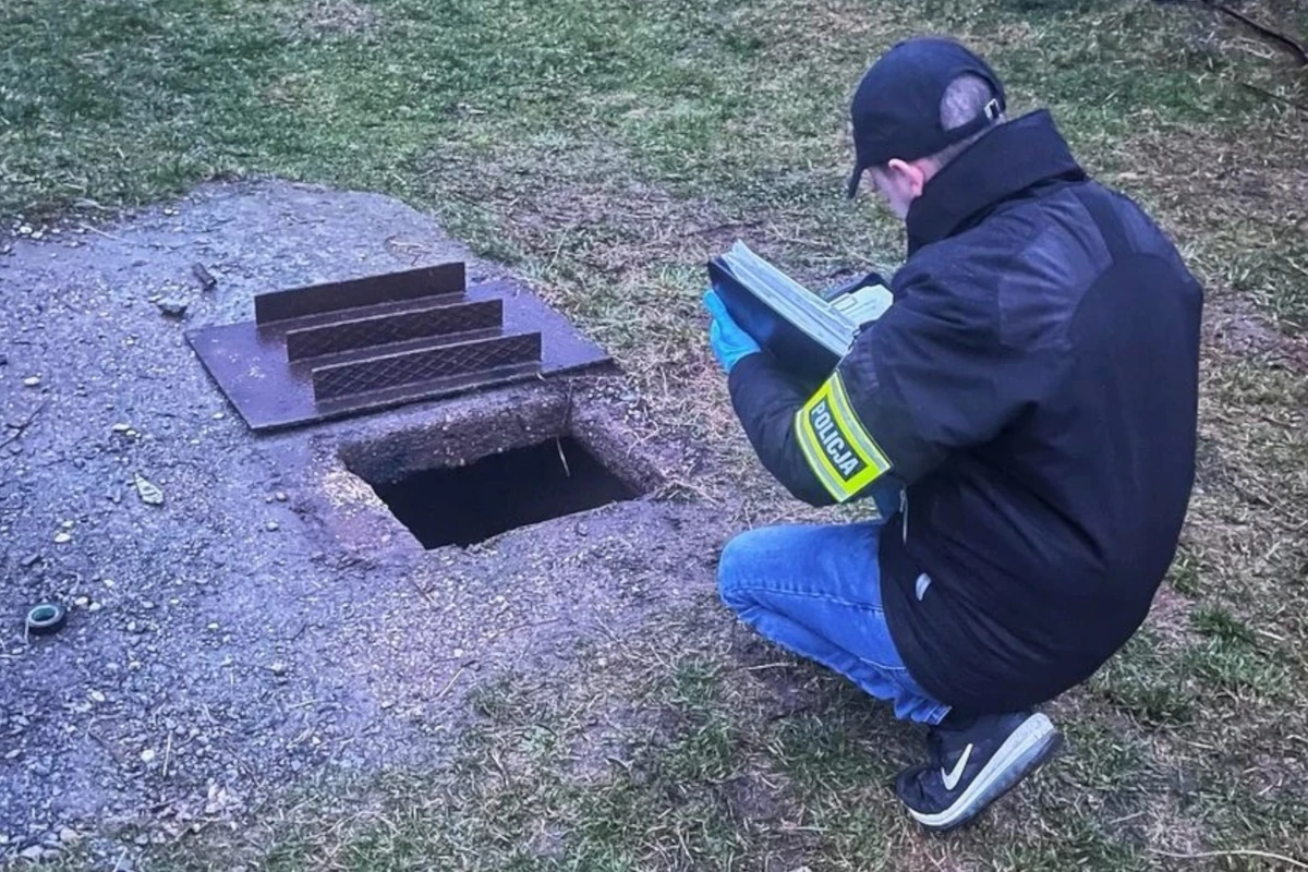  Domownikom powiedział, że szczeniaki oddał do schroniska. Tymczasem utopił je w szambie