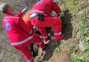 Saobraćajna nesreća, Ostrovica