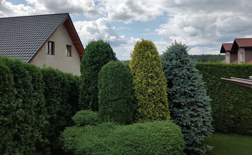 Zdjęcie wykonane telefonem Oppo Reno 10x Zoom - normalne