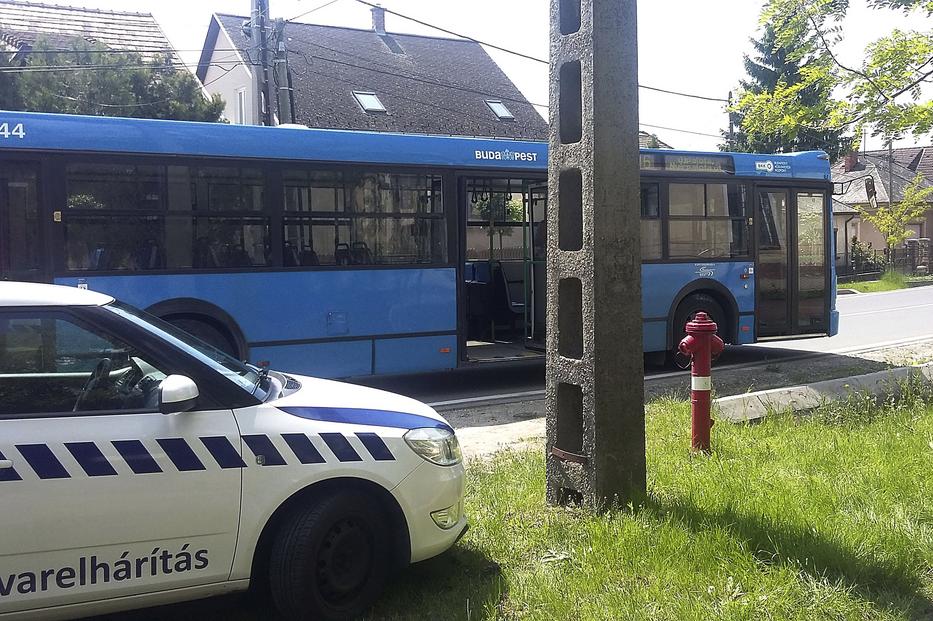 A második ajtón esett ki
István, de az még rejtély,
hogyan történhetett ilyen /Fotó: MTI - Mihádák Zoltán