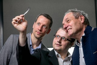 Nie ma róży bez... grafenu [EUREKA! DGP]