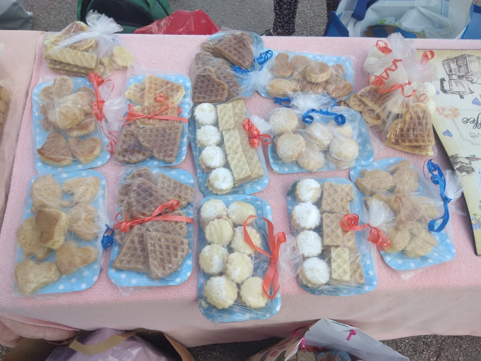 Za Laninu životnu bitku