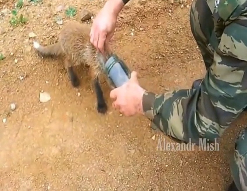 Došao spasilac, glava će biti oslobođena