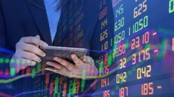 Domy maklerskie bez prawa do obrony