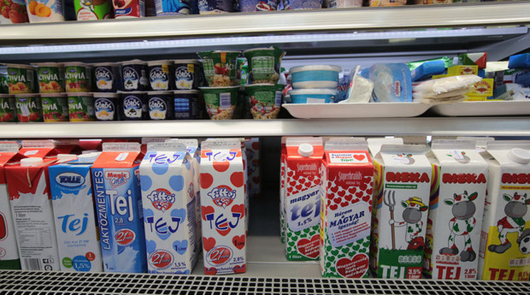 A tejföl is olcsóbb lehet idén/Fotó: Gy. Balázs Béla