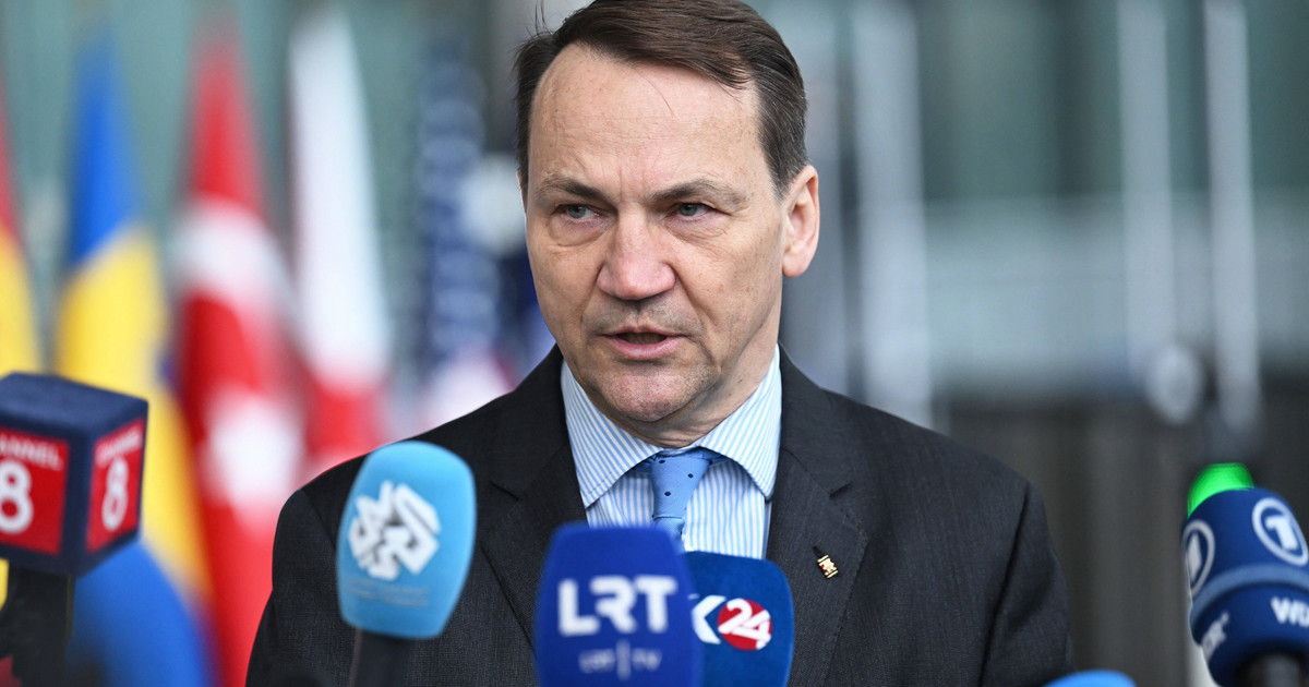 Radoslav Sikorski talks about supporting Ukraine.  Announces NATO mission