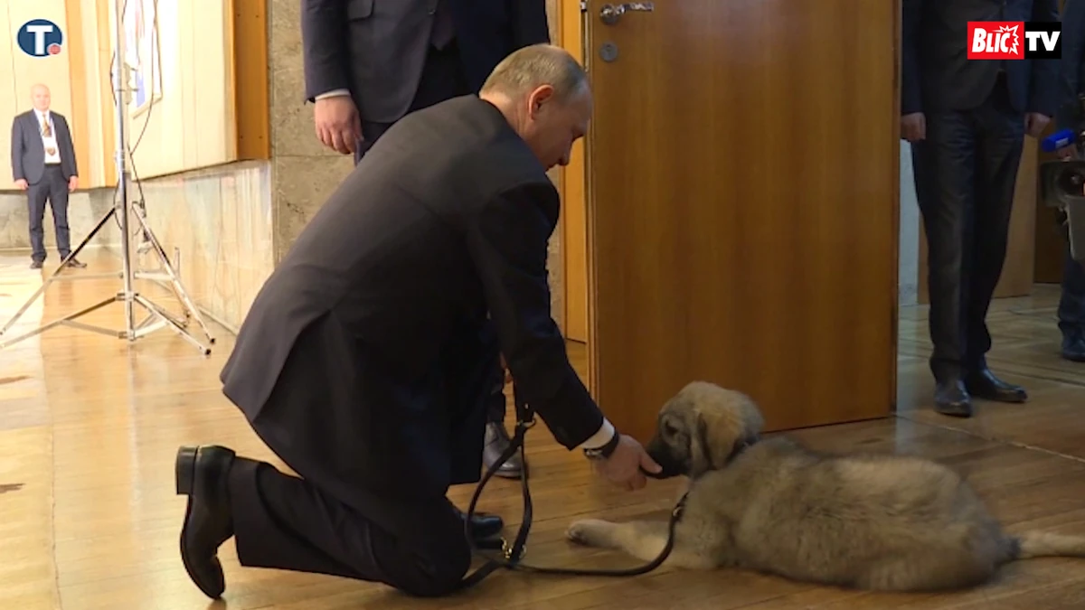 VIDEO) Pogledajte Putinovu reakciju kada mu je Vučić poklonio