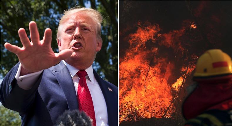 trump amazon rainforest fires tweet bolsonaro US help