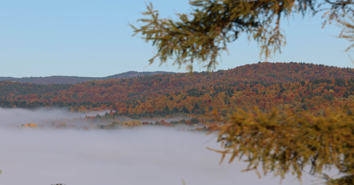 IMGW ostrzega przed gołoledzią i gęstą mgłą w kilkunastu województwach