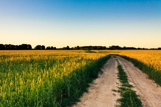 Znów zmaleje podatek od upraw i hodowli