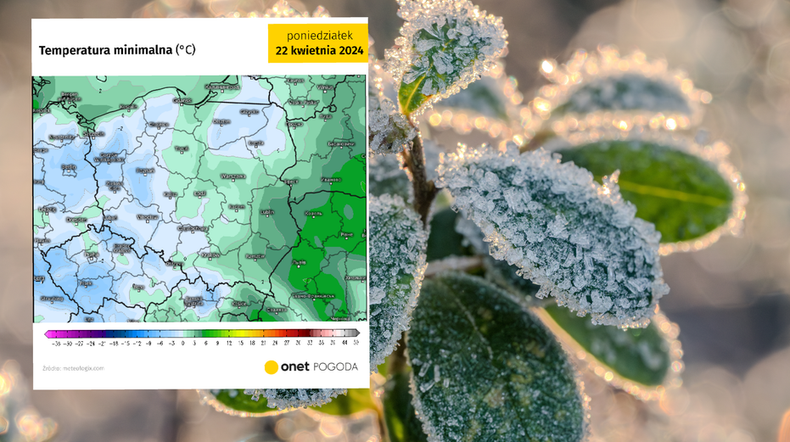 Nad Polskę nadciąga mroźny antycyklon Quadarius (screen: meteologix.com)