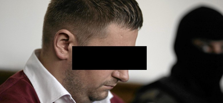 Wassermann: Styk działalności byłego szefa Amber Gold z polityką jest po prostu faktem