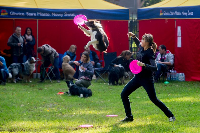 Gliwice. Piknik „Psistanek” w Parku Chopina 