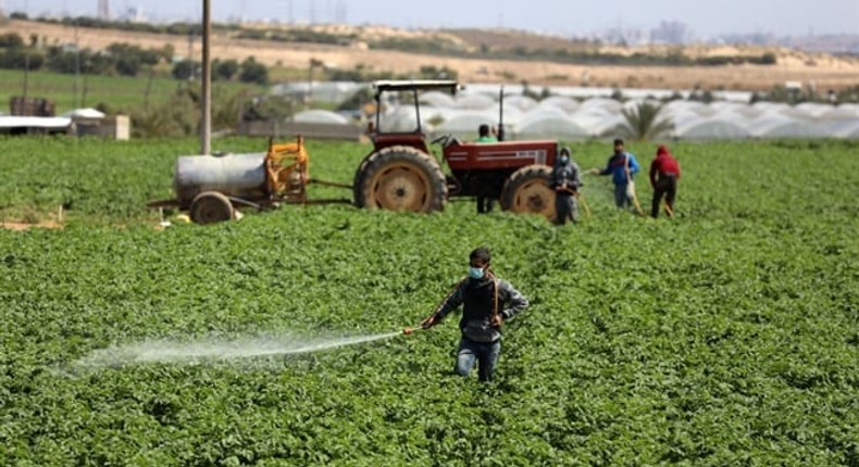 Israel is set to receive 1,500 Kenyans despite the war