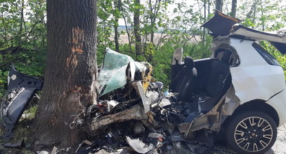 Na drodze nie było widać śladów hamowania. Auto roztrzaskało się na drzewie [ZDJĘCIA]