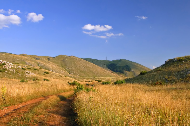 Park Narodowy Galiczica, Macedonia Północna