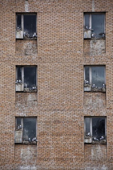 Pyramiden, Spitsbergen