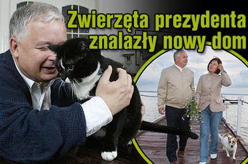 Zwierzęta prezydenta znalazły nowy dom