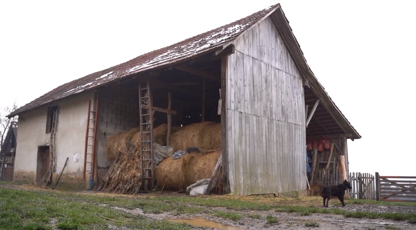 Jelena Broćić, emisija "Metar moga sela"