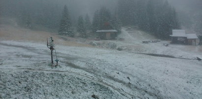 O nie! Pierwszy śnieg już sypnął w...