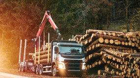 Zniszczone drogi lokalne przez wycinkę drzew. Kto zapłaci gminom? Ważna odpowiedź rządu