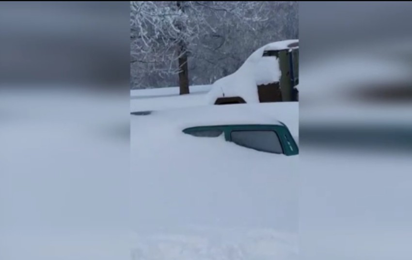 Automobili su u potpunosti zavejani